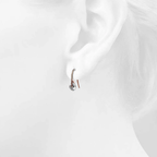 Elegant Hook Drop Rose Gold Plated Earrings Set embellished with Swarovski crystals