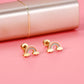 Rainbow Earrings Set