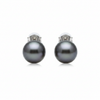 Tahitian Pearl Stud Earrings | 9–10mm | 18k Solid White Gold