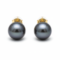 Tahitian Pearl Stud Earrings 9-10mm 18k Yellow Gold - Front View