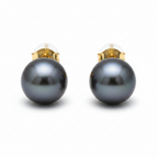 Tahitian Pearl Stud Earrings 9-10mm 18k Yellow Gold - Front View
