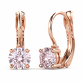 Plain Band Rose Gold Drop Earrings - Front Side