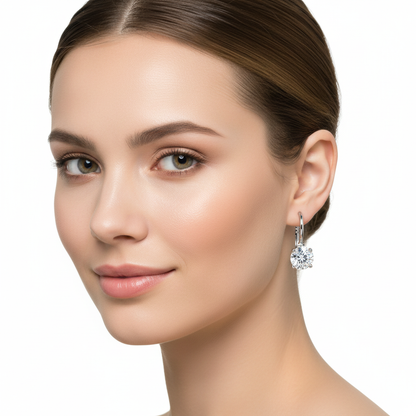 Silver Crystal Earrings on Model