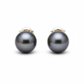 Tahitian Pearl Studs 18k White Gold - Front