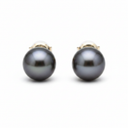 Tahitian Pearl Studs 18k White Gold - Front