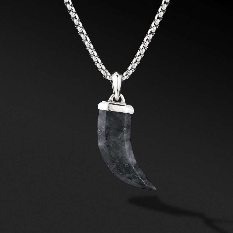 Dhia Black Labradorite Claw Mens Necklace